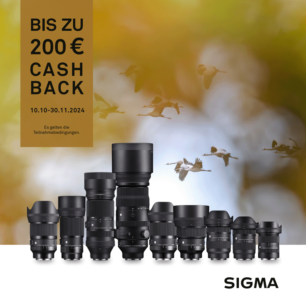 Jetzt Sigma Objektiv kaufen und bis zu 200,00 EUR CashBack sichern (01.10.2024 bis 30.11.2024)